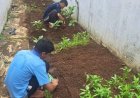 Rutan Kudus Hijaukan Lahan dengan Kangkung, Dukung Ketahanan Pangan Nasional