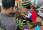 Berkebun di Rutan Kudus, Warga Binaan Panen Produktivitas dan Harapan